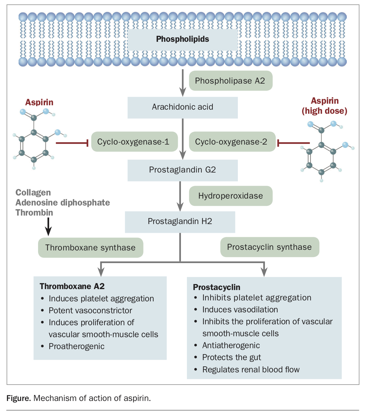 Aspirin therapy in diabetes evidence and current